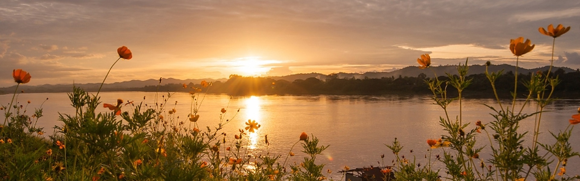 mommywellness_header_1920x600
